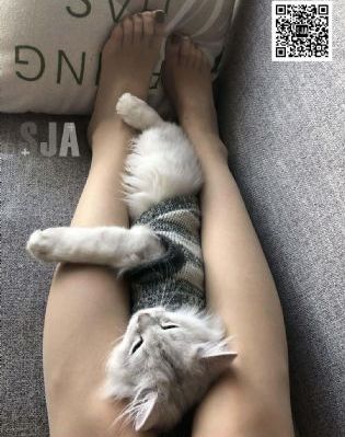 在线资源观看va_剧情片高清在线